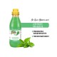 Ив Сен Бернард Шампунь Fruit of the Grommer Mint (Мята) для шерсти любого типа собак, кошек с витамином В6, 500 мл, Iv San Bernard