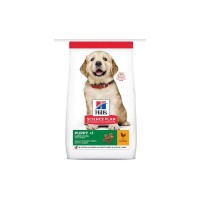 Корм Хиллс Science Plan Puppy Healthy Development Large Breed Chicken для щенков крупных пород, Курица, 2,5 кг, Hills