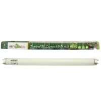 Люминесцентная лампа T8 ReptiSol Tropical UVB 5.0 для рептилий, птиц 75 см, 25w, ReptiZoo (РептиЗоо)