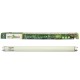 Люминесцентная лампа T8 ReptiSol Tropical UVB 5.0 для рептилий, птиц 90 см, 30w, ReptiZoo (Рептизоо)