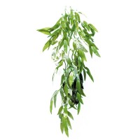 РептиЗоо Растение подвесное "Рускус" для террариума, TP001-20, 50 см, ReptiZoo