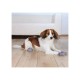 Трикси Носки для собак Dog Socks нескользящие серые, размер XS-S, например Вест-хайленд-терьер, 2 шт/уп., хлопок/лайкра, Trixie