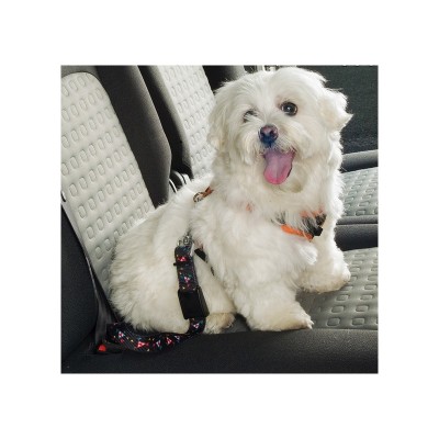 Ферпласт Ремень безопасности Dog safety belt в автомобиль для животных весом до 30 кг, Ferplast