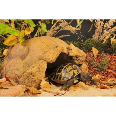 Хаген Укрытие-пещера для сухопутных черепах Exo-Terra Tortoise Cave 41*28*21 см, Hagen