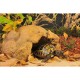 Хаген Укрытие-пещера для сухопутных черепах Exo-Terra Tortoise Cave 41*28*21 см, Hagen