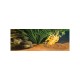 Экзо Терра Коричневый речной песок Riverbed Sand, 4,5 кг, Exo Terra