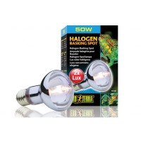Экзо Терра Лампа галогенная для баскинга Halogen Basking Spot, 75 Вт, Exo Terra