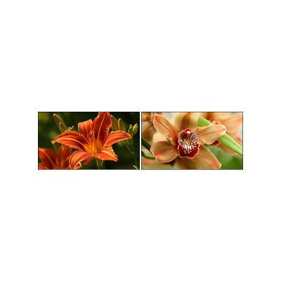 Экзо Терра Лампа с УФ с полным спектром Natural Light Repti Glo 2.0 Compact UVB100, лампа 13 Вт, Exo Terra