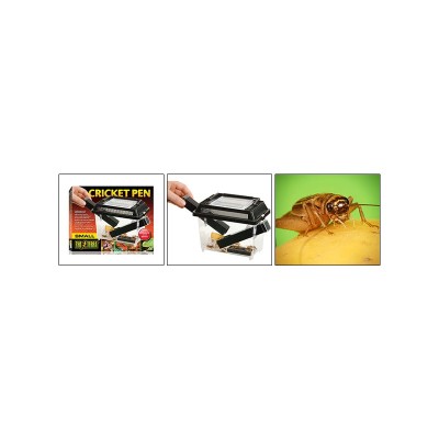 Экзо Терра Контейнер пластиковый для живого корма Cricket Pen, Large, 30*20,5*19,5 см, объем 11 л, Exo Terra