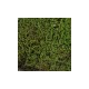 Лаки Рептайл Натуральный мох Vivarium, 150 г, Lucky Reptile