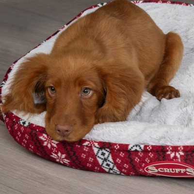Лежак-софа Santa Paws 60*50 см, бело-красный, Scruffs (Скрафс)