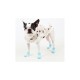 Паппи Носки Polka Dot II розовые, L, 3,5*11 см, Puppia