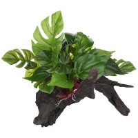 Лаки Рептайл Декоративная коряга для террариума лесная Forest Wood Premium, 37*25,5*27 см, Lucky Reptile