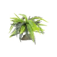 Лаки Рептайл Декоративное растение Fern для террариумов, 25 см, Lucky Reptile