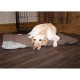 Скрафс Лежак-матрас Insect Shield Crate Mat с пропиткой от блох и клещей, 75*52*2,5 см  , Scruffs