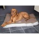 Скрафс Лежак-матрас Insect Shield Matress с пропиткой от блох и клещей, 82*58*6 см , Scruffs