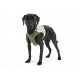 Скрафс Защитный жилет с пропиткой от блох и клещей для собак Insect Shield Dog Vest, S, 34 см, Бигль, Фокстерьер, , Scruffs