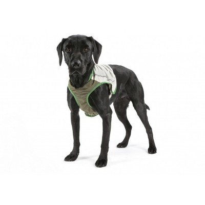 Скрафс Защитный жилет с пропиткой от блох и клещей для собак Insect Shield Dog Vest, M, 36 см, Спаниель, Такса, Scruffs