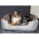 Скрафс Лежак-софа Insect Shield Box Bed с пропиткой от блох и клещей 75*60*19 см, Scruffs