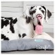 Охлаждающий лежак для животных Cool Bed, 75*53*12 см , Scruffs (Скрафс)