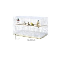 Клетка 610D для мелких и средних птиц 76*46*45 см, белый или черный цвет, Золотая Клетка