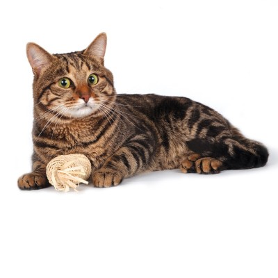 Триол Игрушка для кошек Бобина, серия NATURAL, 4,5*6/11 см, кукурузные листья, Triol