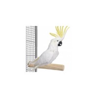 Жердочка с винтовым креплением Ветвь кофейная XL 35*8 см, Happy Bird (Хеппи Берд)