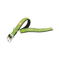 Ферпласт Ошейник DUAL CF для собак, нейлон, DUAL CF15/35, длина 27-35 см, ширина 1,5 см, зеленый, Ferplast
