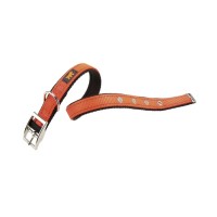 Ферпласт Ошейник DUAL CF для собак, нейлон, DUAL CF15/35, длина 27-35 см, ширина 1,5 см, оранжевый, Ferplast