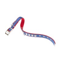 Ферпласт Ошейник DUAL CF Pyramids для собак, нейлон, DUAL CF25/45 PI, длина 37-45 см, ширина 2,5 см, сине-красный, Ferplast