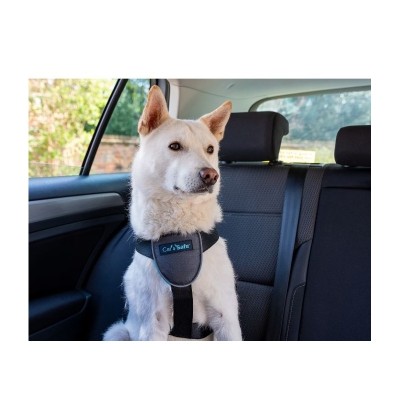 Автомобильная шлейка для собак, CARSAFE Travel, черная, L 60*72-90 см, Company of Animals