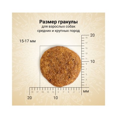 Крафтиа Корм CRAFTIA NATURA для собак средних и крупных пород Ягненок/Перепелка, 640 г  , Craftia