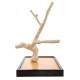 Игровая площадка для птиц Кофейное дерево, подставка 35*55*5 см, Coffee Wood (Кофе Вуд)