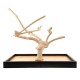 Игровая площадка для птиц Кофейное дерево, подставка 45*71*5 см, Coffee Wood (Кофе Вуд)